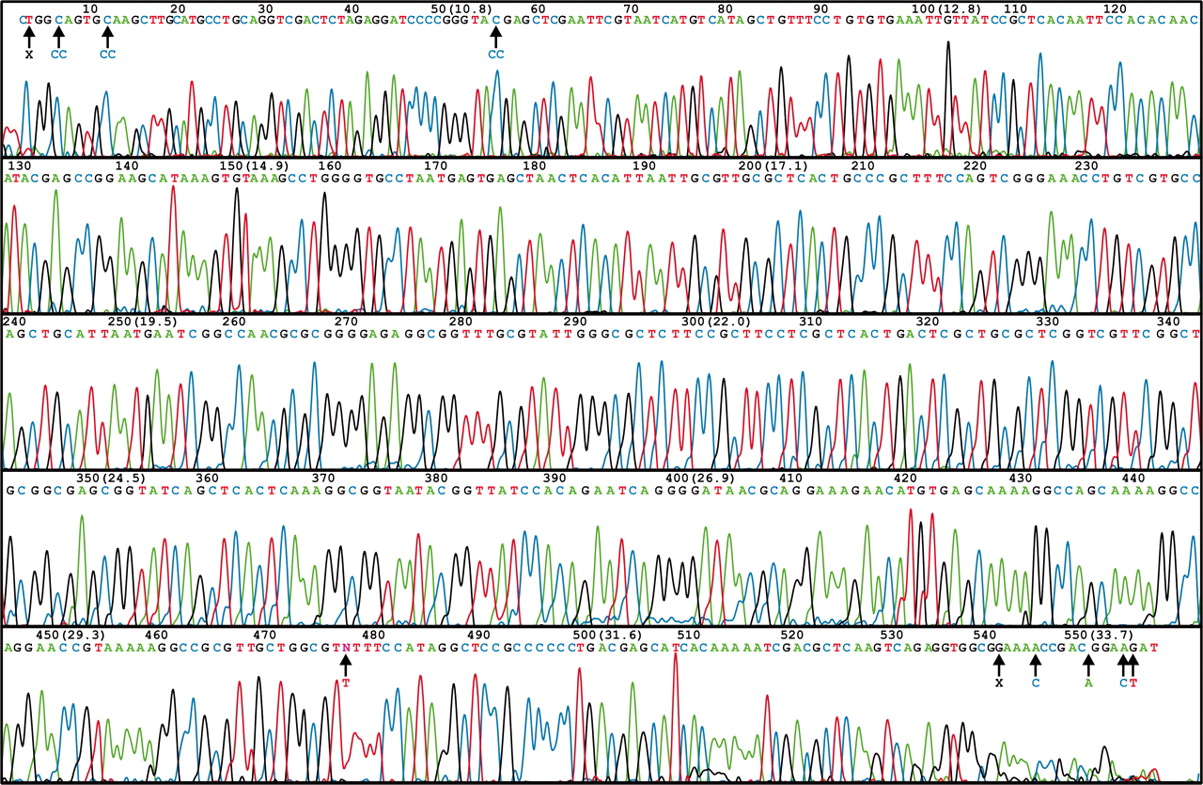 Human Phenotyping Core