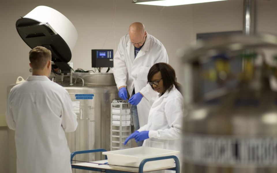 Biorepository personnel organize patient samples for long-term storage